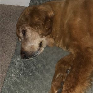 Meet your Posher, Zach